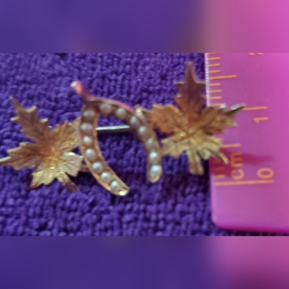 Victorian 14kg Brooch - Picture 7 of 9